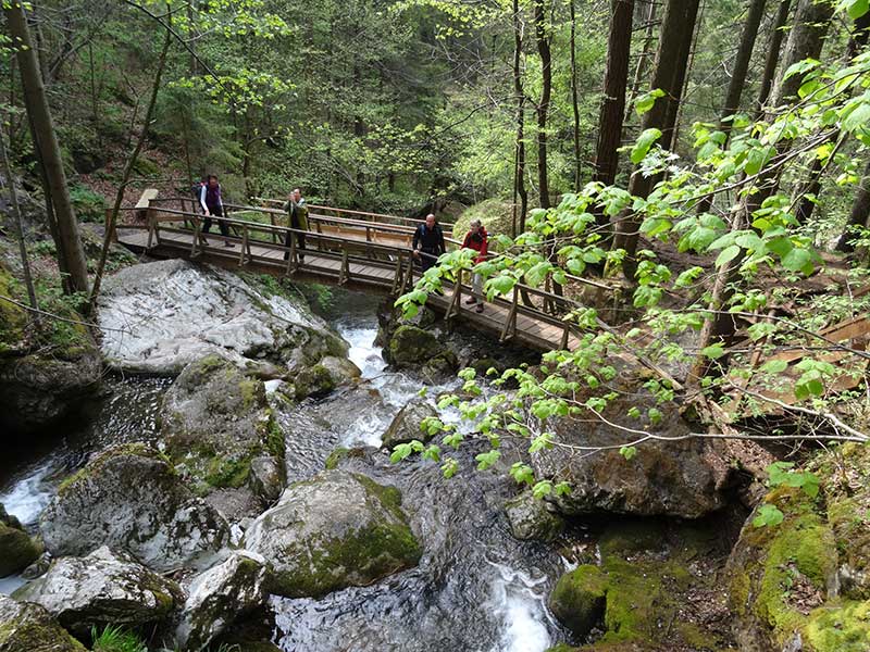 Steinwandklamm